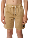 The Rip Curl Boys Boys Epic Volley Shorts 2.0 in Khaki