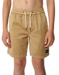The Rip Curl Boys Boys Epic Volley Shorts 2.0 in Khaki