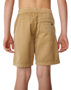 The Rip Curl Boys Boys Epic Volley Shorts 2.0 in Khaki