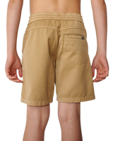 The Rip Curl Boys Boys Epic Volley Shorts 2.0 in Khaki