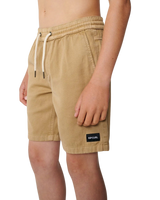 The Rip Curl Boys Boys Epic Volley Shorts 2.0 in Khaki