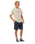 The Rip Curl Mens Classic Surf Chino Walkshorts in Navy