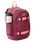 Posse Mid 22L Transient Backpack in Plum
