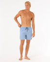 The Rip Curl Mens Easy Living Volley Shorts in Ice Blue