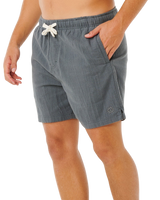 Pacific Rinse Rico Volley Shorts in Moss