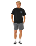 Pacific Rinse Rico Volley Shorts in Moss