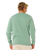 Pacific Rinse Patch Sweatshirt in Aloe