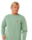 Pacific Rinse Patch Sweatshirt in Aloe