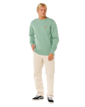 Pacific Rinse Patch Sweatshirt in Aloe