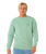 Stapler Sweatshirt in Aloe