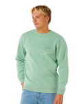 Stapler Sweatshirt in Aloe