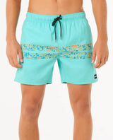 The Rip Curl Mens Framed Volley Update Shorts in Aqua
