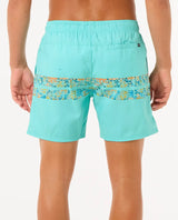 The Rip Curl Mens Framed Volley Update Shorts in Aqua