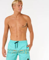The Rip Curl Mens Framed Volley Update Shorts in Aqua