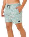 Sessions Volley Shorts in Aloe