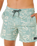 Sessions Volley Shorts in Aloe