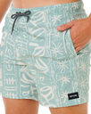 Sessions Volley Shorts in Aloe