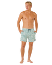 Sessions Volley Shorts in Aloe