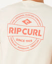 The Rip Curl Mens Staple T-Shirt in Bone