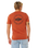 Staple T-Shirt in Baked Clay