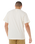 The Rip Curl Mens Artist Of The Search Ty Williams Stacked T-Shirt in Bone