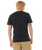 The Rip Curl Mens Filter T-Shirt in Black