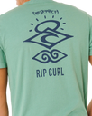 The Rip Curl Mens Search Icon T-Shirt in Aloe