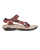 Hurricane XLT2 Sandals in Archive Wings Blooming Dahlia