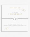 A Little Friendship Bracelet in Silver