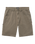 The Billabong Mens Bad Dog Walkshorts in Brown