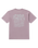 The Billabong Mens Scenes T-Shirt in Purple Ash