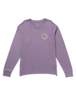 The Billabong Mens Adventure Division Rockies Long Sleeve T-Shirt in Lavender