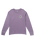 The Billabong Mens Adventure Division Rockies Long Sleeve T-Shirt in Lavender