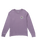 The Billabong Mens Adventure Division Rockies Long Sleeve T-Shirt in Lavender