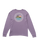The Billabong Mens Adventure Division Rockies Long Sleeve T-Shirt in Lavender