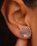 Delicate Shell Stud Earrings in Silver