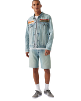 The Levi's® Mens 501® Original Walkshorts in Save The Date