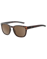 Lit Polarised Sunglasses in Satin Tortoise & Brown