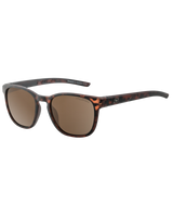 Lit Polarised Sunglasses in Satin Tortoise & Brown