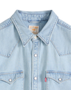 Barstow Western Standard Shirt in Solucell Worn-in