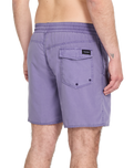 Center Swimshorts in Violet