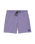Center Swimshorts in Violet