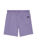 Center Swimshorts in Violet