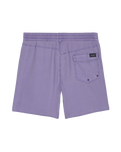 Center Swimshorts in Violet