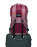 Allpa 26L Daypack in Fig