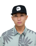 The Stance Mens Low Key Snapback Cap in Black