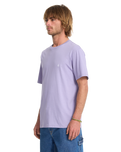 The Volcom Mens Stone Blanks T-Shirt in Purple Ash