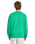 The Volcom Mens Watanite Crew Sweatshirt in Mint