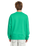 The Volcom Mens Watanite Crew Sweatshirt in Mint