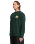 Racoon Sweatshirt in Scarab